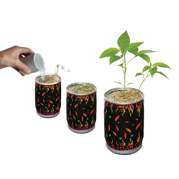 CHRISTMAS SALE!!! Grow Your Own Carolina Reaper Chilli Plant Kit