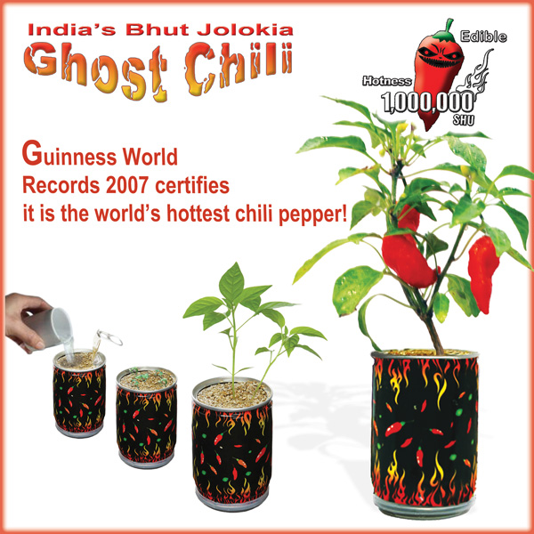 Grow Your Own Ghost Chilli In A Tin Prank Fun Novelty Gift 