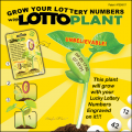 Lotto Plant