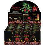 Moruga Scorpion Pepper Plant