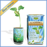 "Best Wishes" Magic Plant