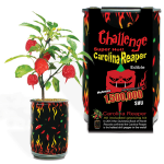 Carolina Reaper Growing Kit