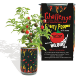 Wiri Wiri Growing kit