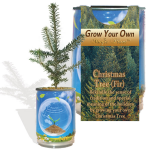 Christmas Tree (fir) Growing Kit