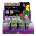 Christmas Tree (Fir) Growing Kit