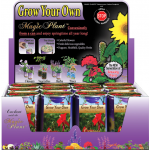 Cypress Vine Growing kit