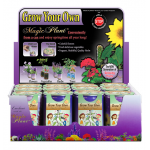 Dance With Me tree Growing Kit
