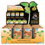 Dinosaur World magic bean