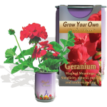 Geranium Growing kit