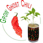 Ghost Chili Growing Kit