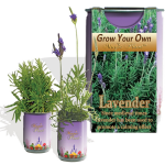 Lavender Growing kit
