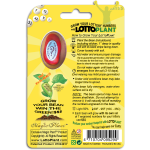 Lotto Plant back