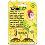 Lotto Plant