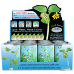 "Best Teacher" Bean Plant