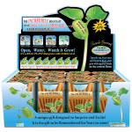 "Get Well Soon" Magic Plant