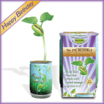 "Happy Birthday" Magic Bean