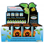 "Happy Halloween" Plant