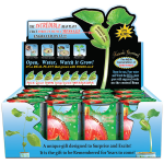 "Merry Christmas" Magic Plant