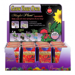 Maple Tree Growing Kit