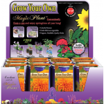 Marigold Growing kit