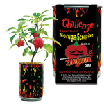 Moruga Scorpion Pepper Growing Kit
