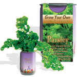 Parsley Growing kit