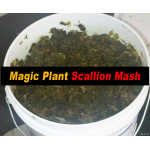 Scallion Mash
