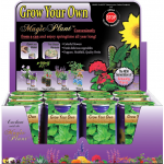 Spearmint Growing kit
