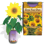 Sunflower Growing Kit
