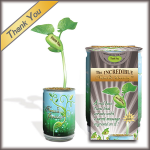 "Thank You" Magic Plant