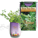Thyme Growing kit