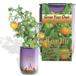 Spearmint Growing kit