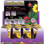 Violet (Viola) Growing Kit