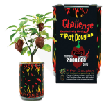 7 Pot Douglah | 7 Pod Douglah | Chocolate 7 Pod