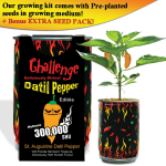 Datil Peppers