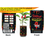 Jays Red Ghost Scorpion