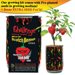 Red Scotch Bonnet