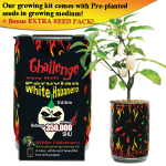 Habanero