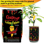 Orange Fatalii