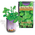 Spearmint Growing kit