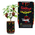 7 Pot Douglah | 7 Pod Douglah | Chocolate 7 Pod