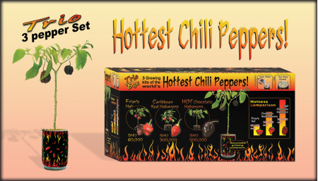 Chili Pepper Growing Kit
