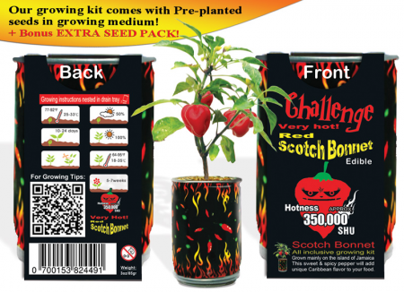 Scotch Bonnet