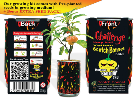 Scotch Bonnet
