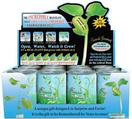 "Best Teacher" Bean Plant