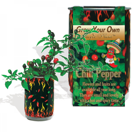 Chili Pepper Growing kit