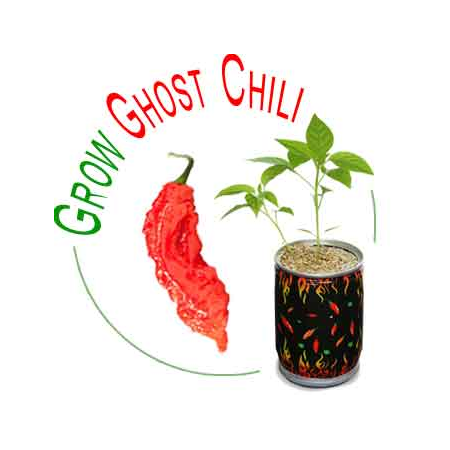 Ghost Chili Growing Kit