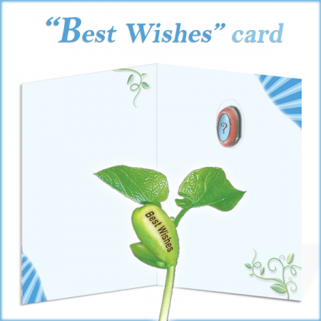Uniqe Greeting Card