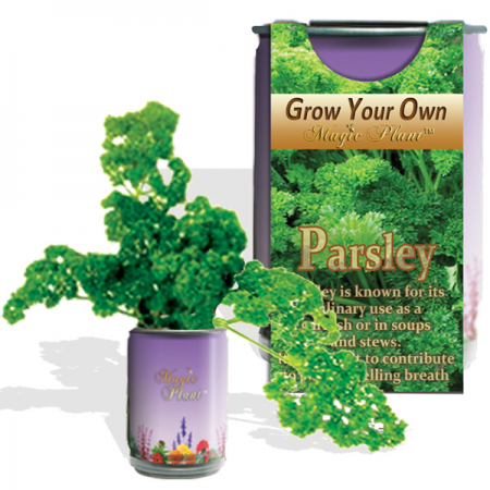 Parsley Growing kit Parsley Growing kit
