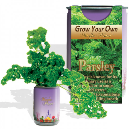 Parsley Growing kit
